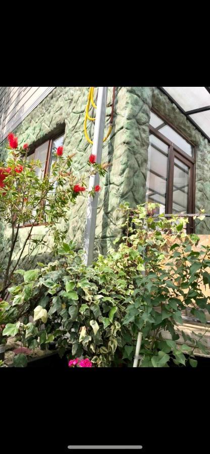 Papillon Apartment Chakvi Exterior photo